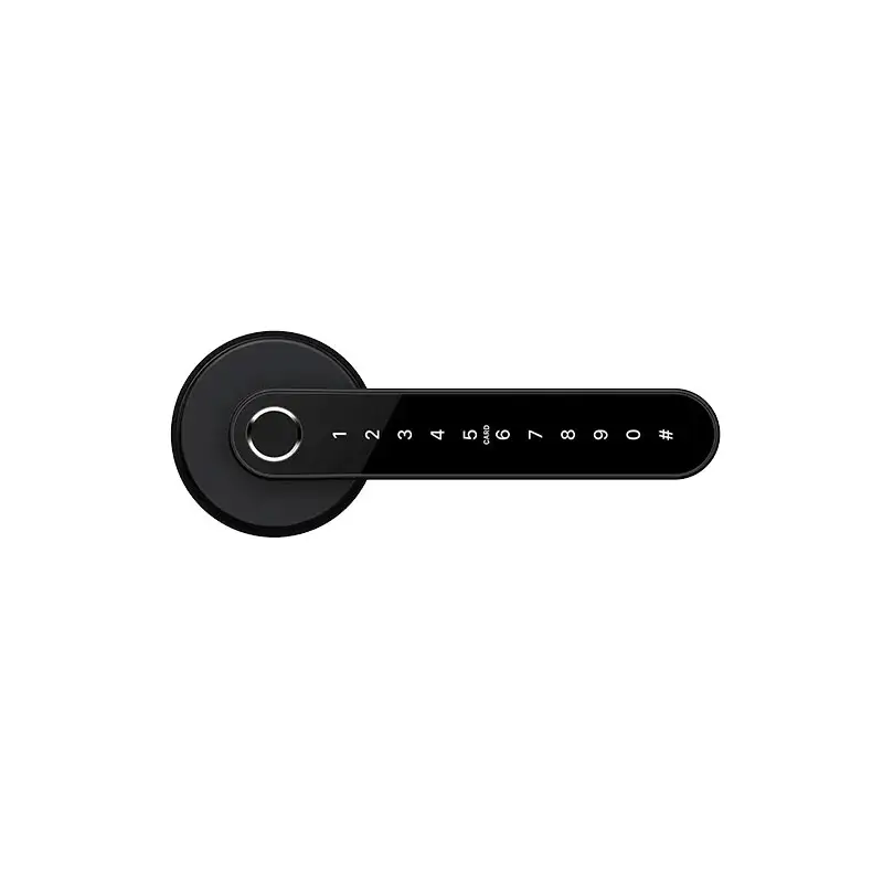 Sciener LX1 Smart Lever Lock