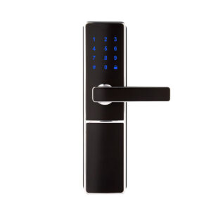 Sciener S201 Smart Lock